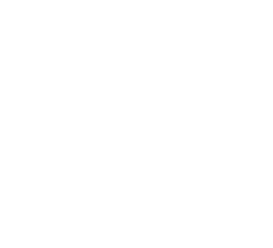 SESSION 60.1